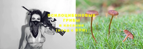 ALPHA-PVP Володарск