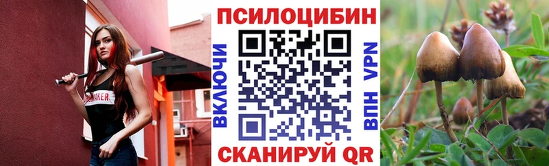 Псилоцибиновые грибы Cubensis  гидра сайт  Ачинск 
